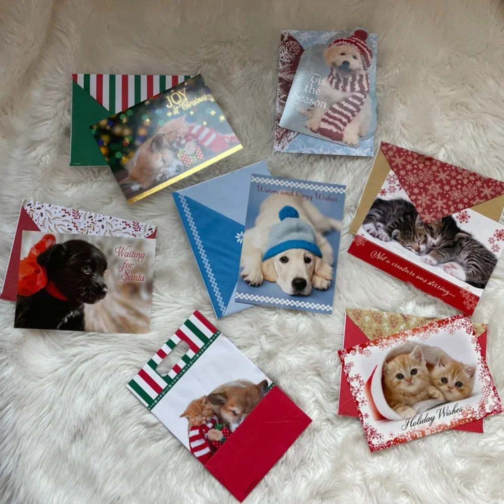 6 Holiday Cards with matching Cuddly animal print envelopes, 1 gift bag